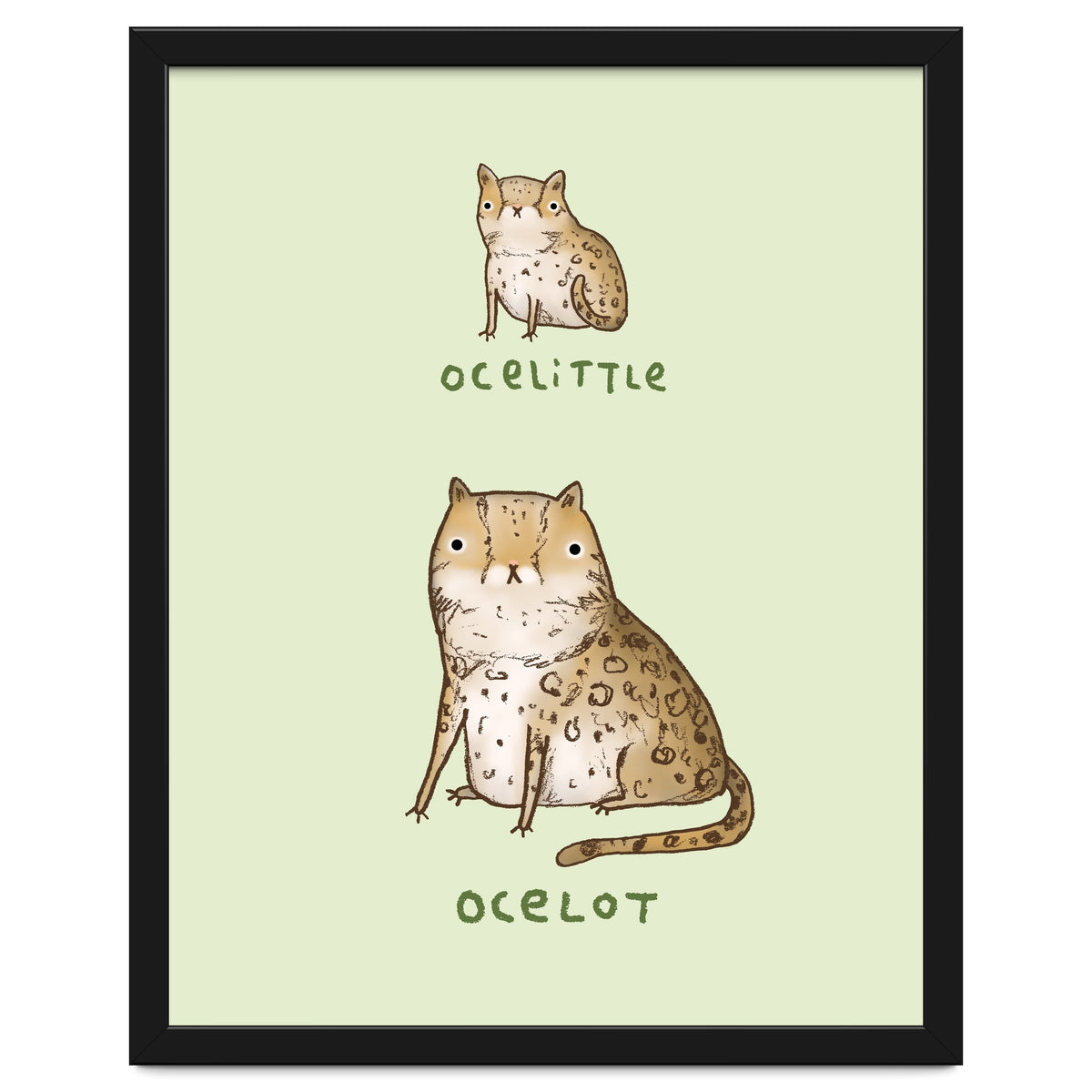 Ocelittle Ocelot