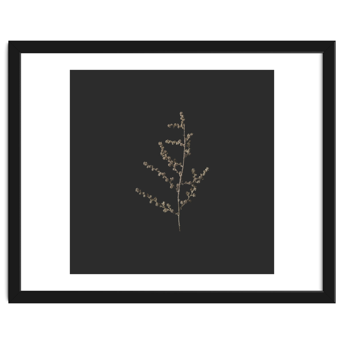 Dainty Botanicals in Gold and Black - Square