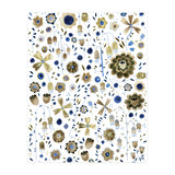Indigo Flower Golden Mashup (Print Only) thumbnail