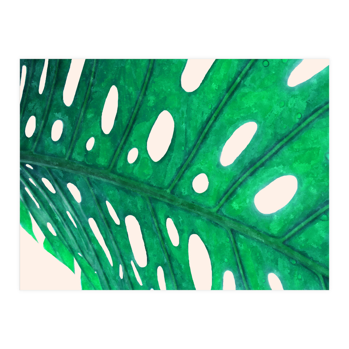 Foliage V2 (Print Only)