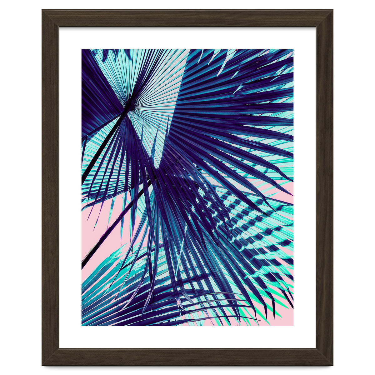 Palm leaf on the beach