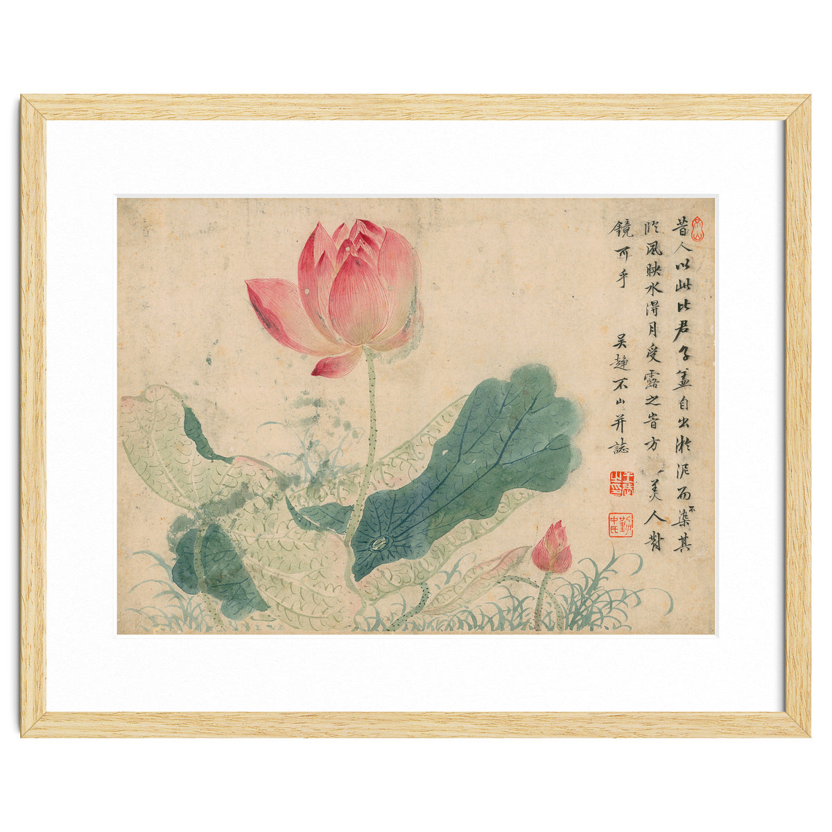 Qing Wangwu Flower album, lotus, lotus leaf, pond, copy of water grass