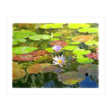 Floating in the water (Print Only) thumbnail