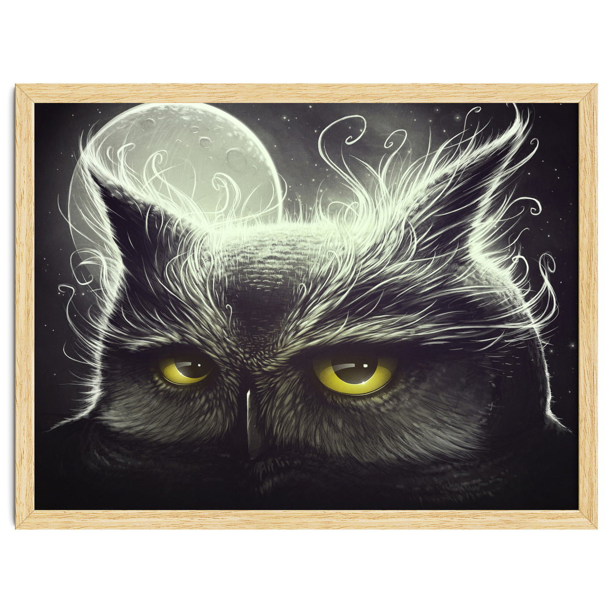 Owl And The Moon