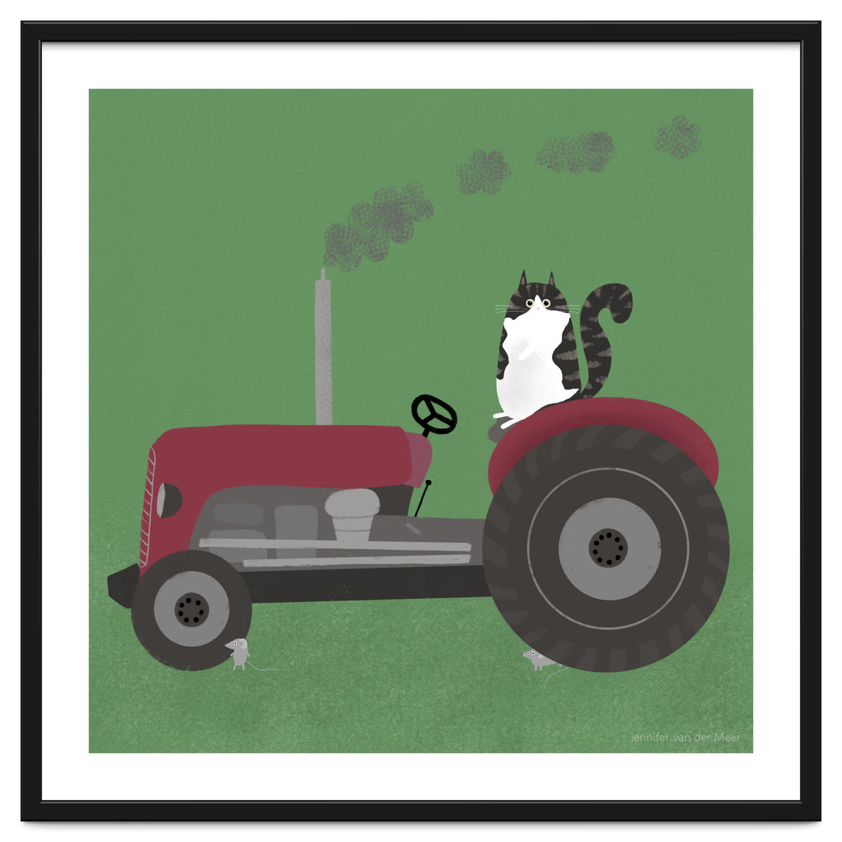 Cat 84: The farm cat