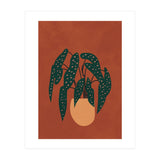 Boho Terracotta Begonia (Print Only) thumbnail