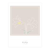 lily flower (Print Only) thumbnail