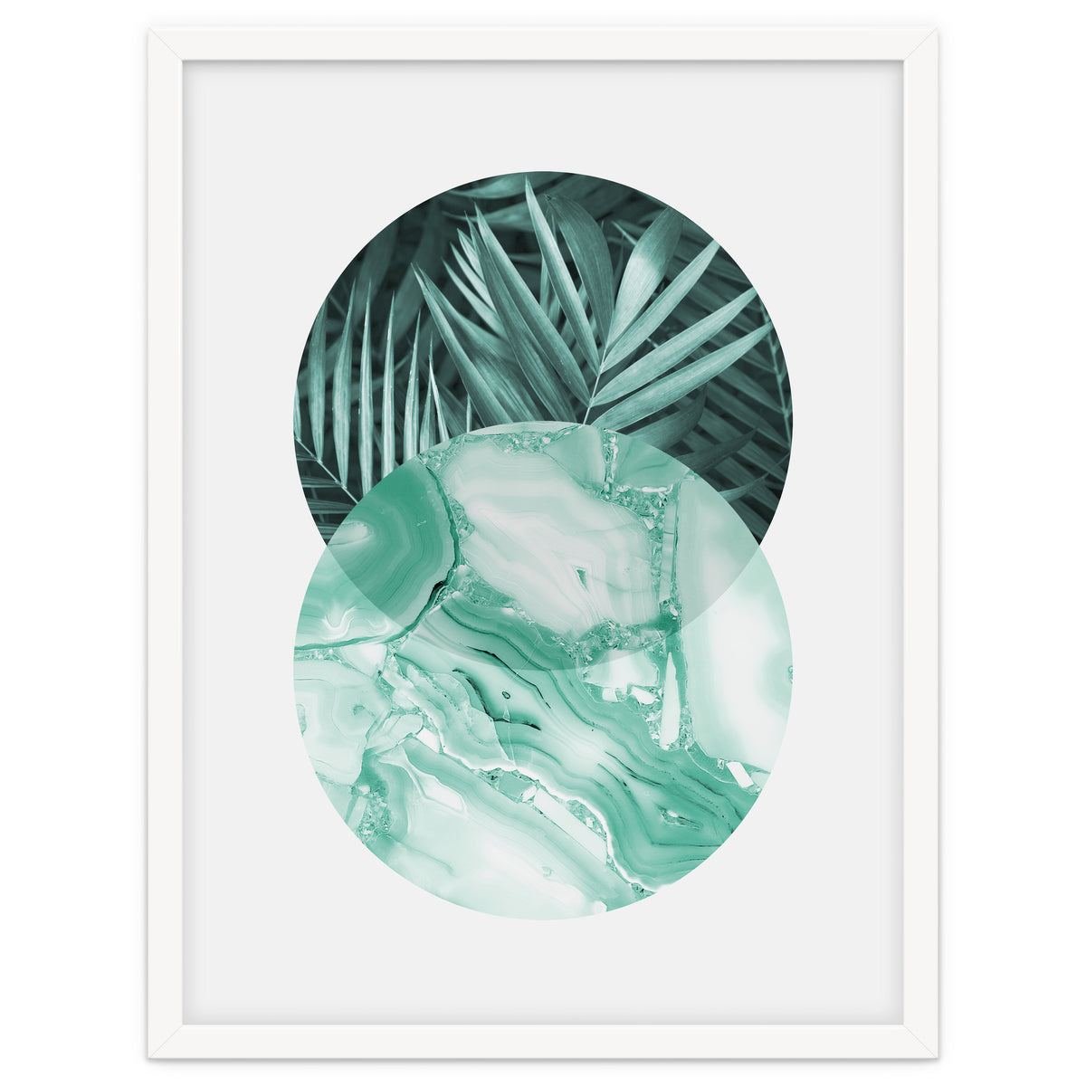 Botanical and geometric IV