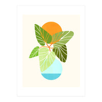 Tropical Symmetry II (Print Only)