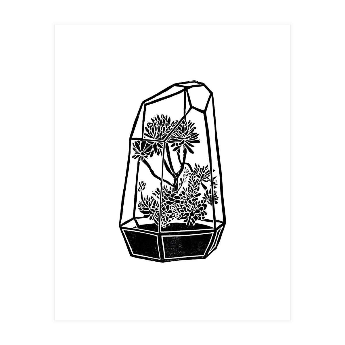 Terrarium  (Print Only)