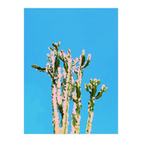 Cactus Beauty (Print Only)
