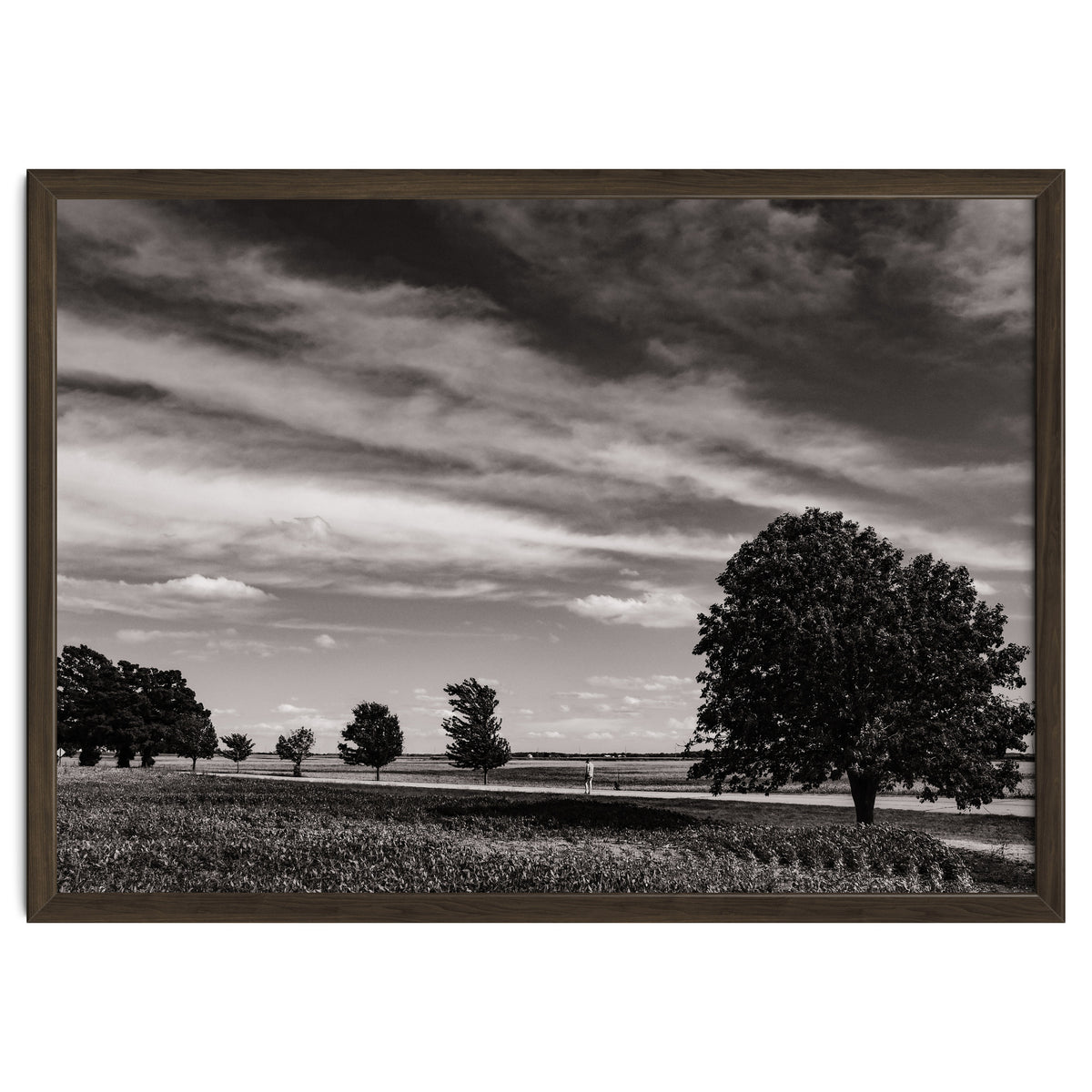 Country Road, Illinois