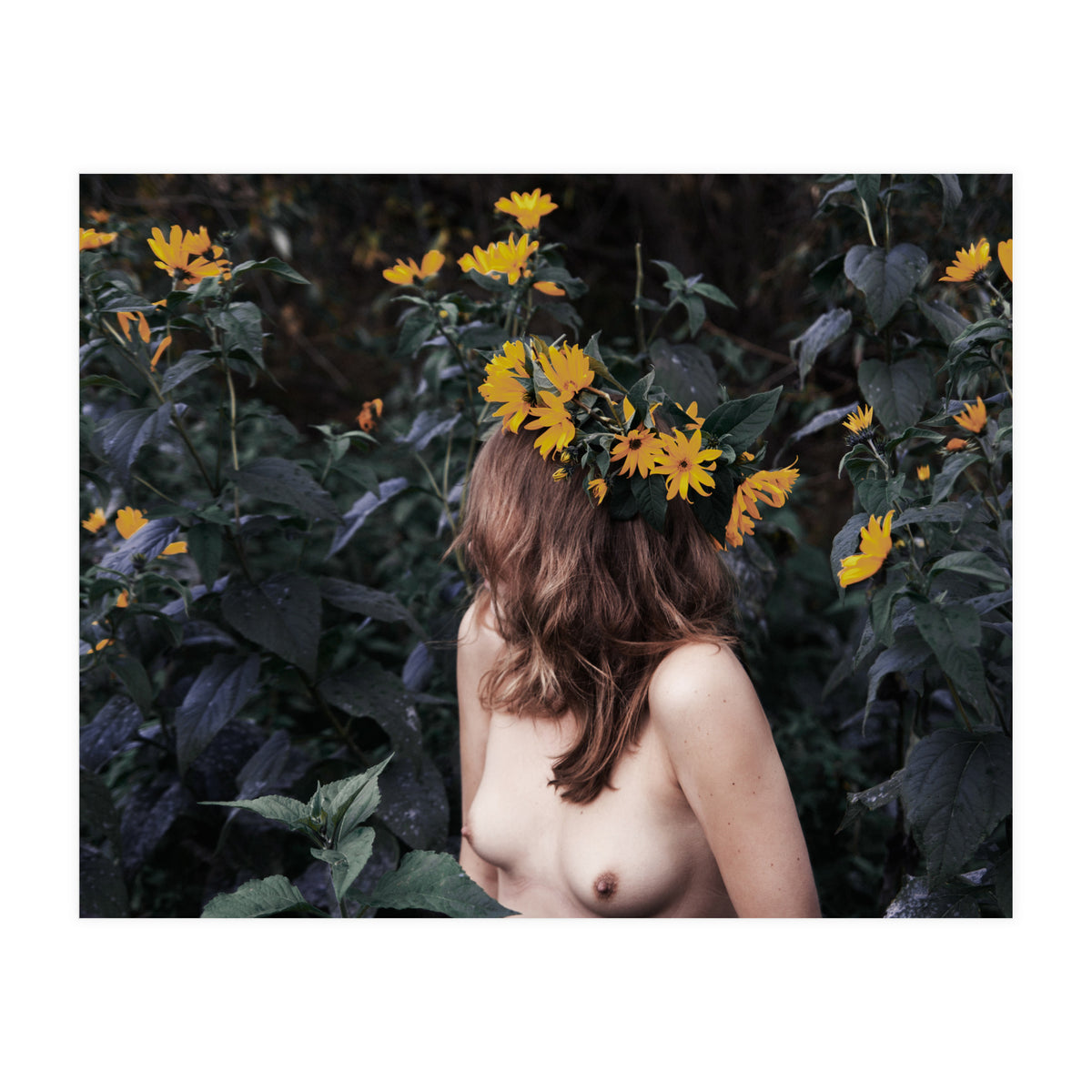 Acid Rain (Print Only)