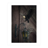 Lumieres (Print Only) thumbnail