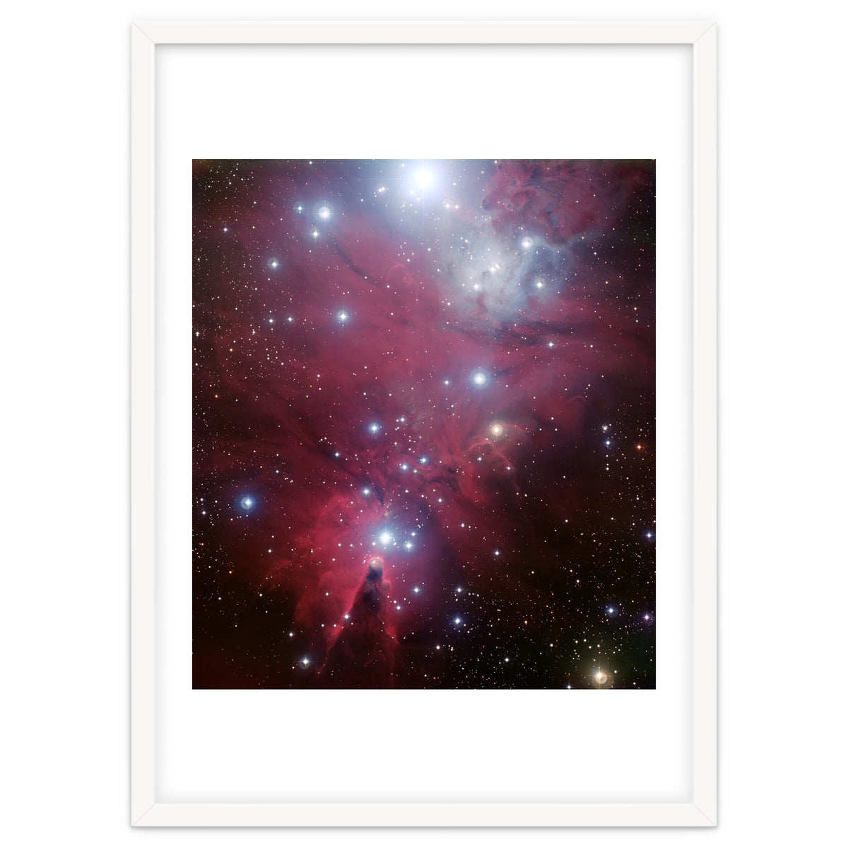 The Christmas Tree Cluster