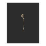 Simple Golden Botanical (Print Only) thumbnail