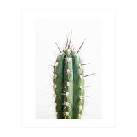 Cacti (Print Only)