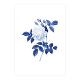Blue Botanic II (Print Only) thumbnail