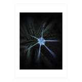 Sparkle Flower (Print Only) thumbnail
