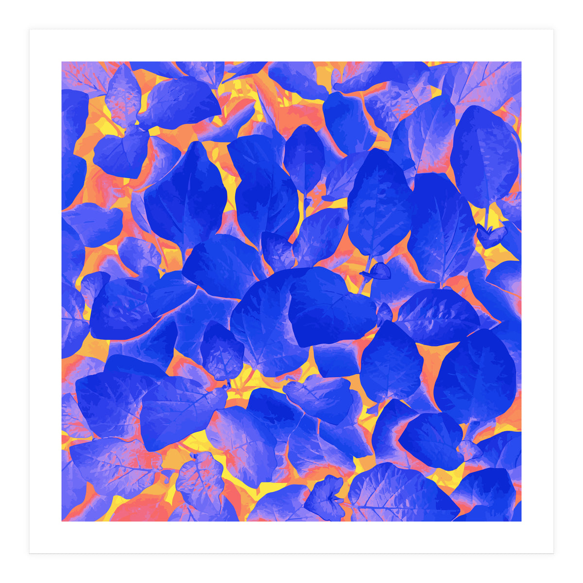 Supercontrast (Print Only)