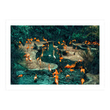 Flamingo Creek (Print Only) thumbnail