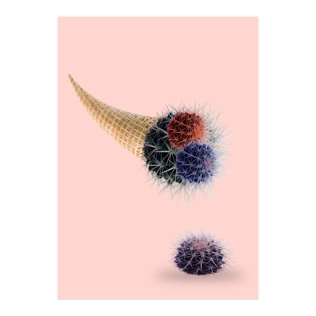 Cactus Cream 50x70 (Print Only)