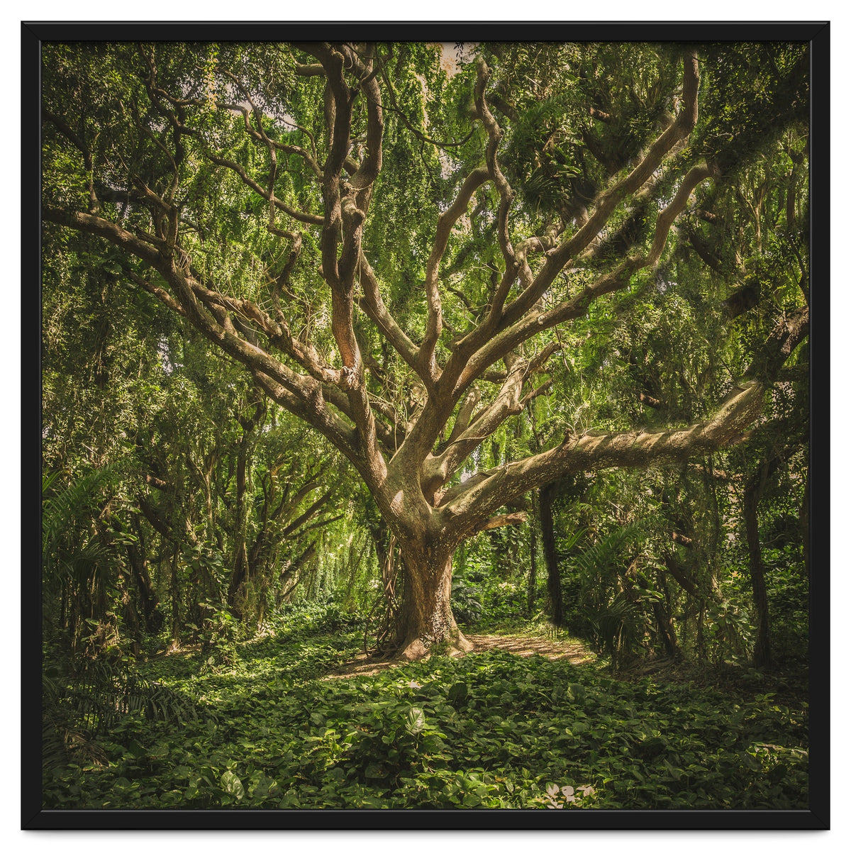 Spirits inside the wood