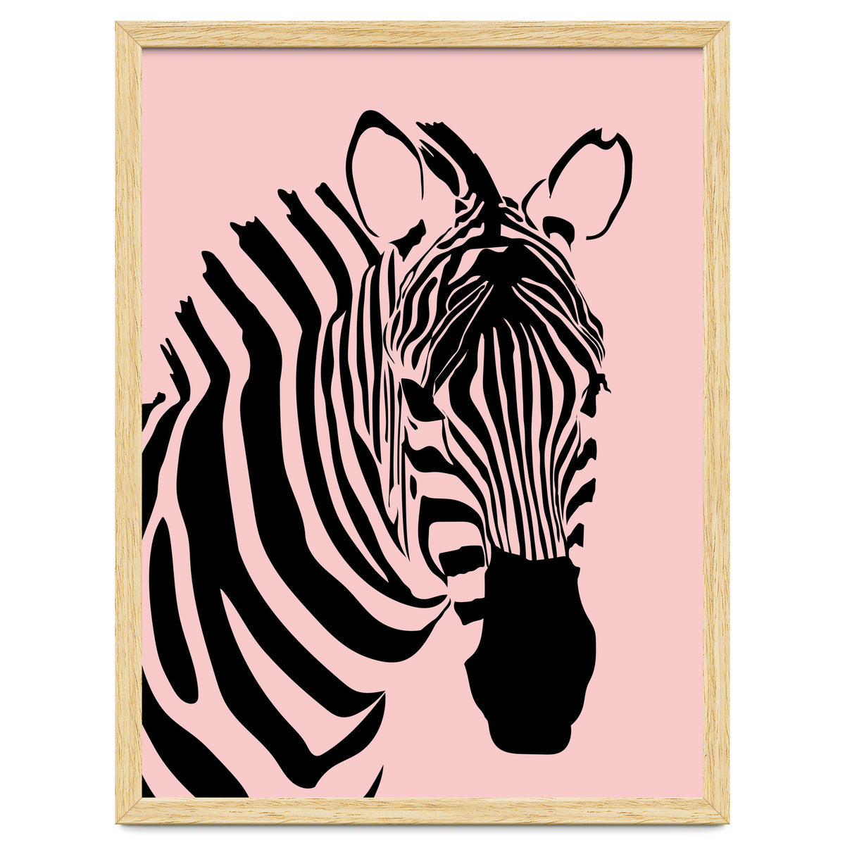 Zebra Stripes