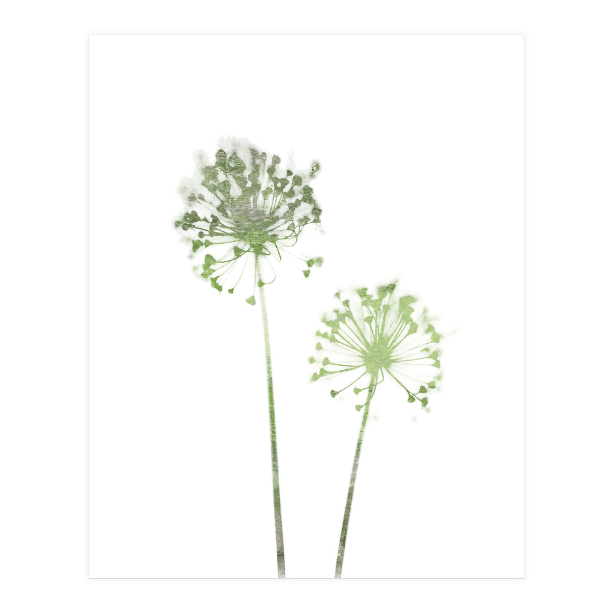 Olive Green Dandelion (Print Only)
