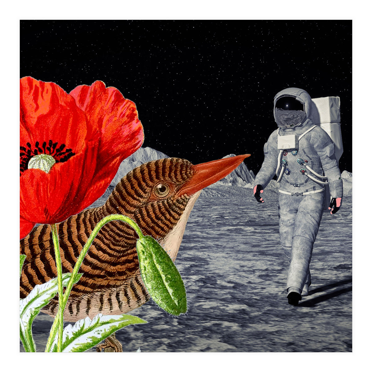 Bird On The Moon  (Print Only)
