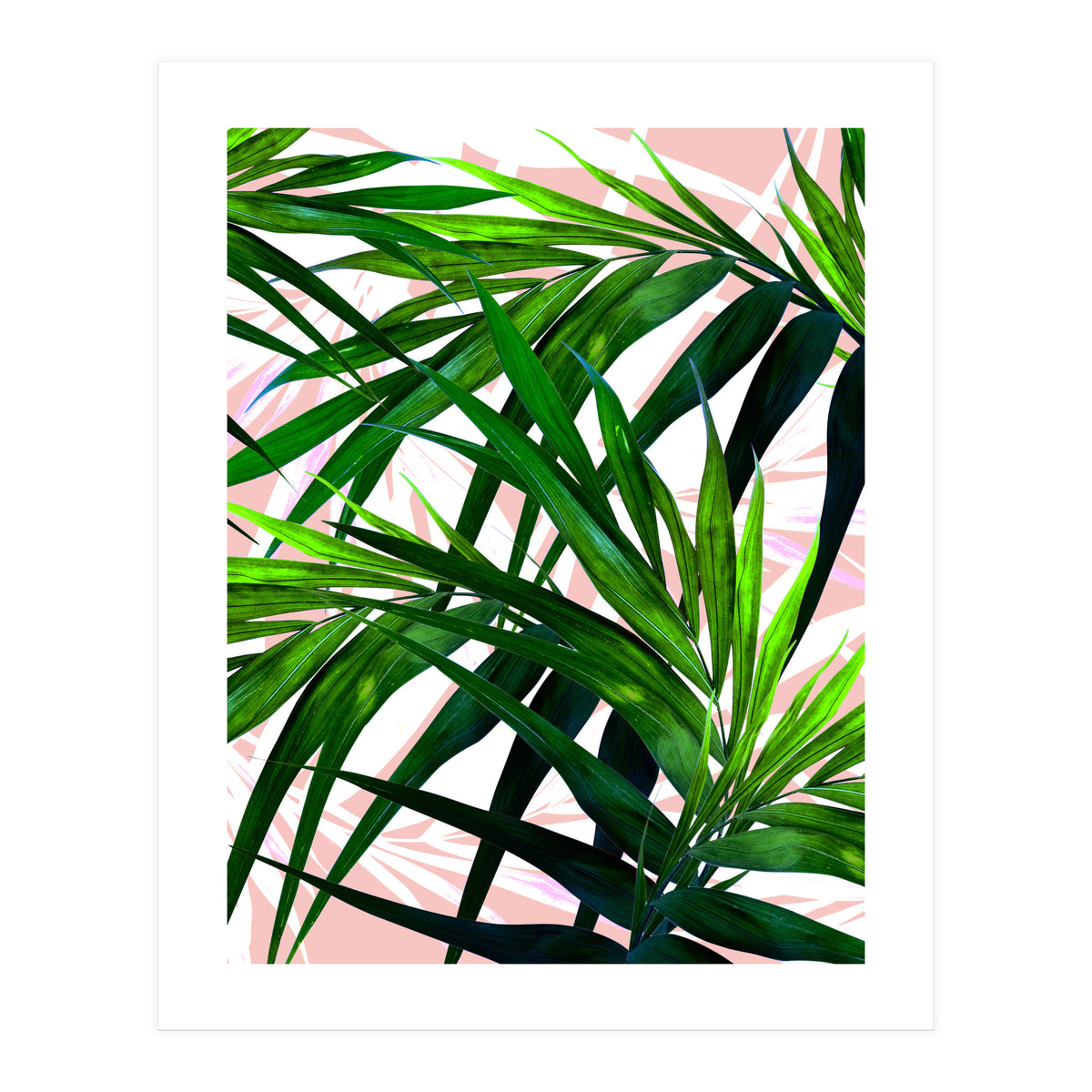 Dream paradise  (Print Only)