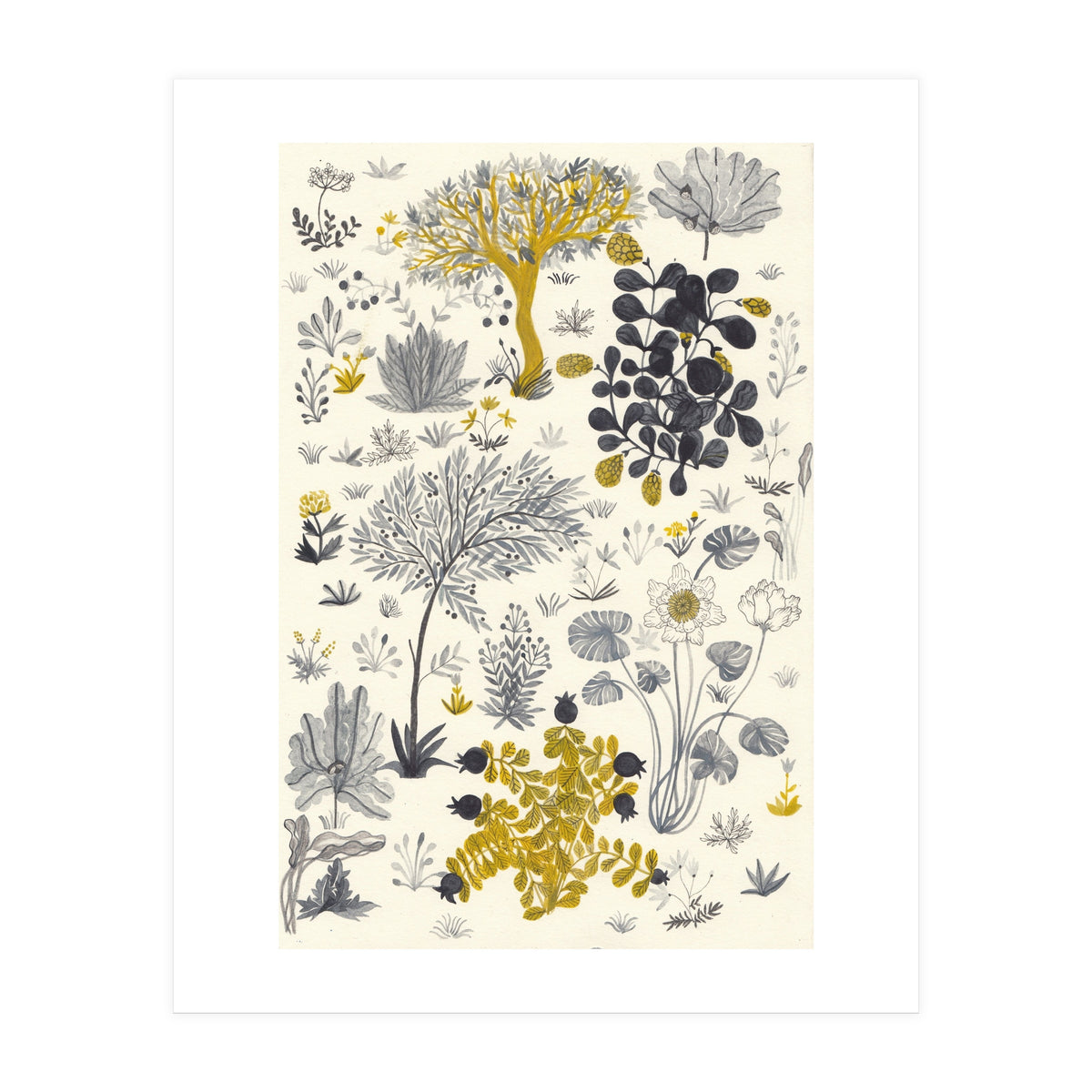 Genesis (Print Only)