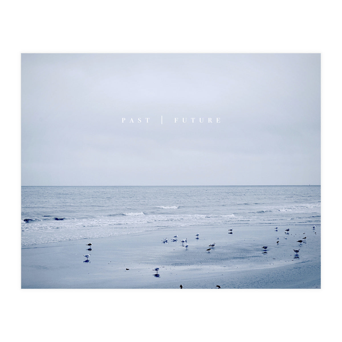 PAST | FUTURE  (Print Only)