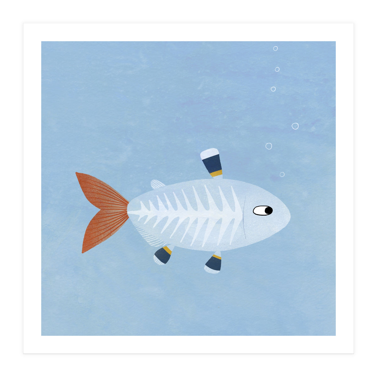 X Ray Tetra (Print Only)