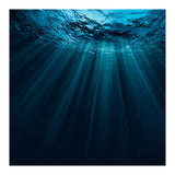 Nature (Print Only) thumbnail
