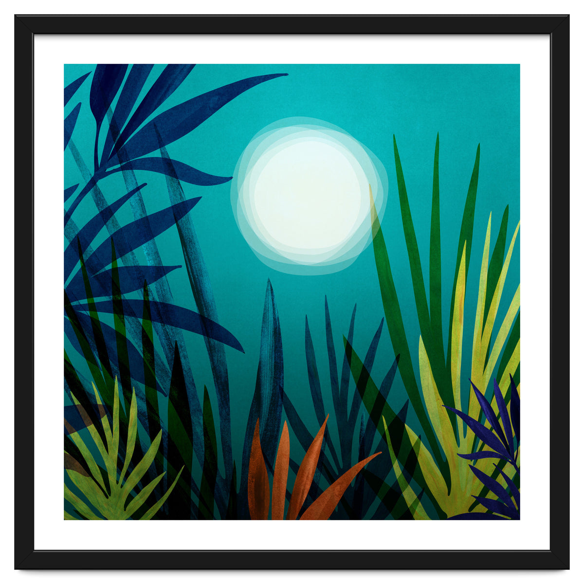 Midnight In The Jungle