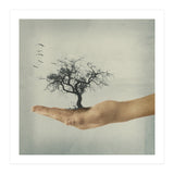 Its All In Your Mind (Print Only) thumbnail