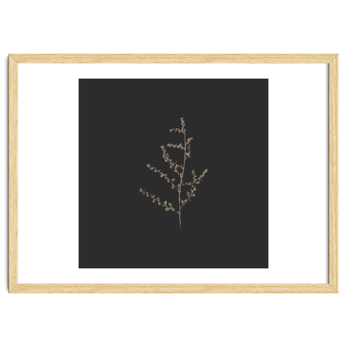 Dainty Botanicals in Gold and Black - Square