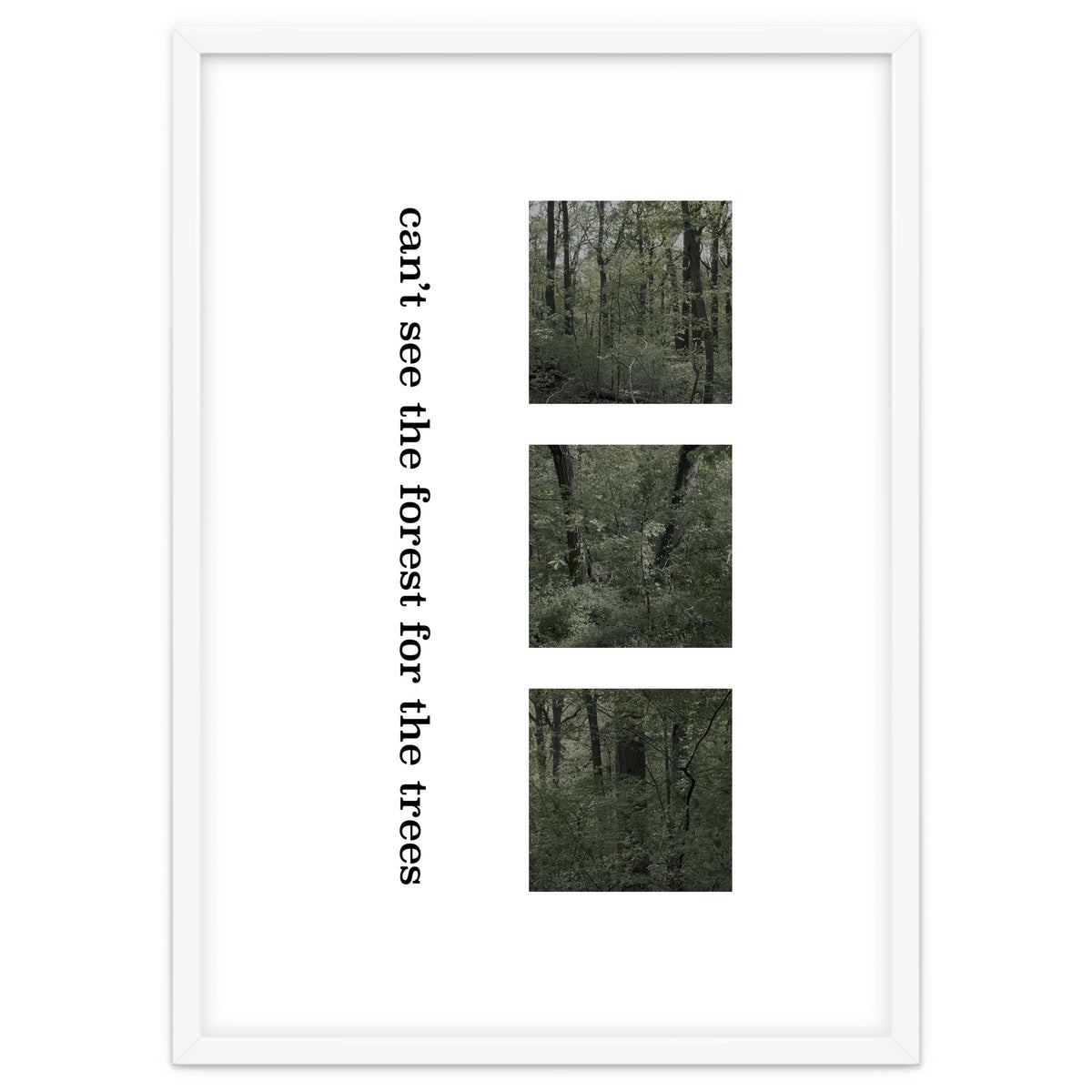 can’t see the forest for the trees