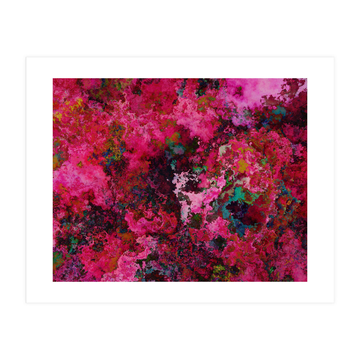 Rose  (Print Only)