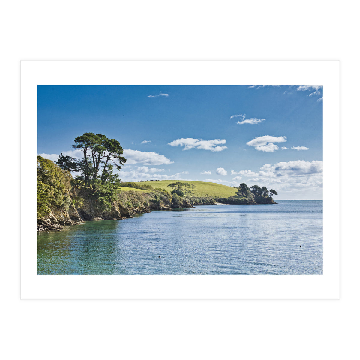 Estuary (Print Only)