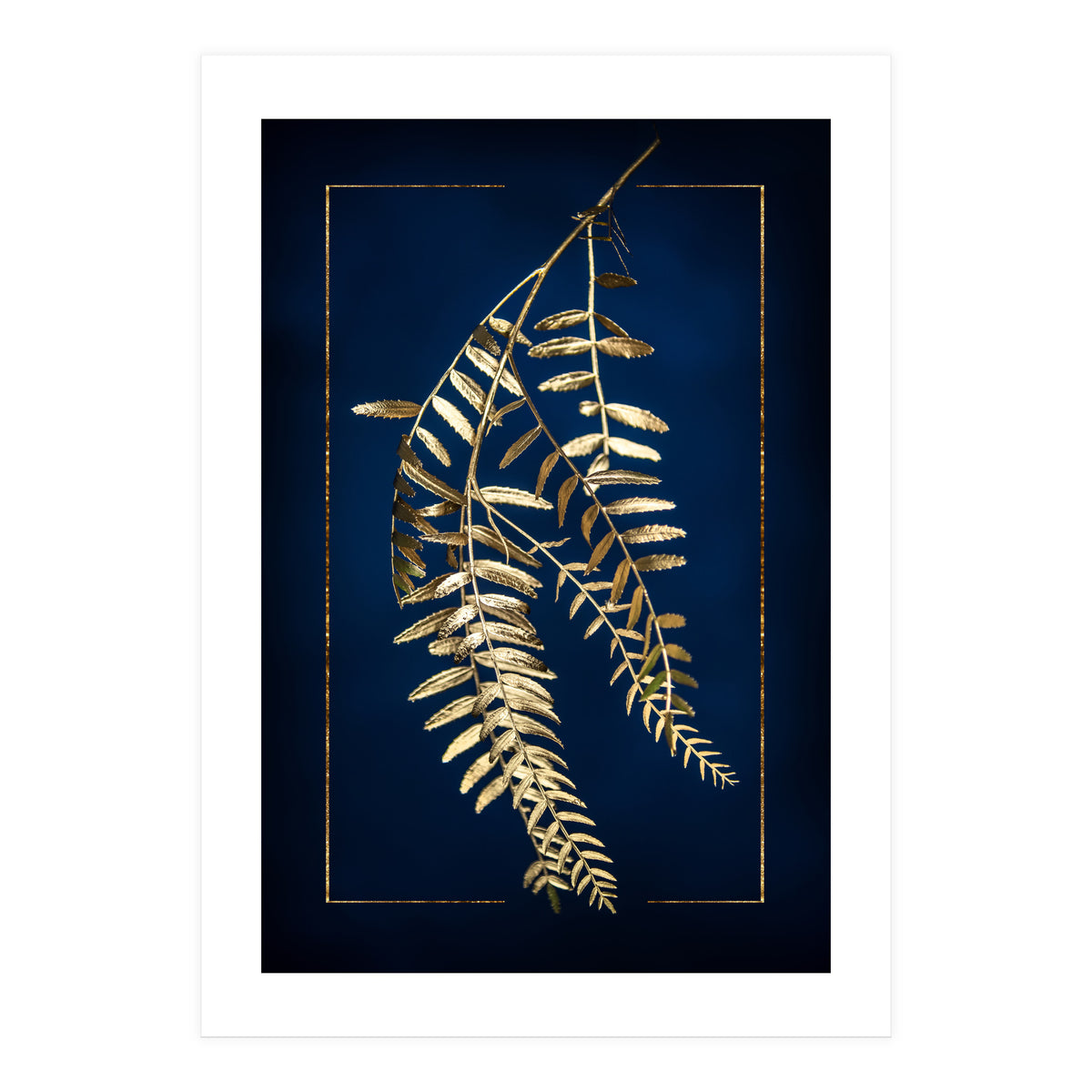 Golden Pepper Tree (Print Only)