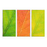 Autumn Leaves (Print Only) thumbnail
