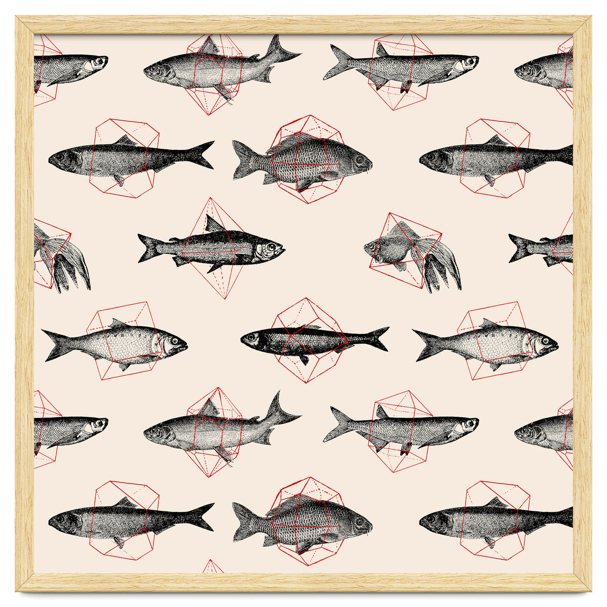 Fish In Geometrics
