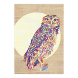 Owl (Print Only) thumbnail