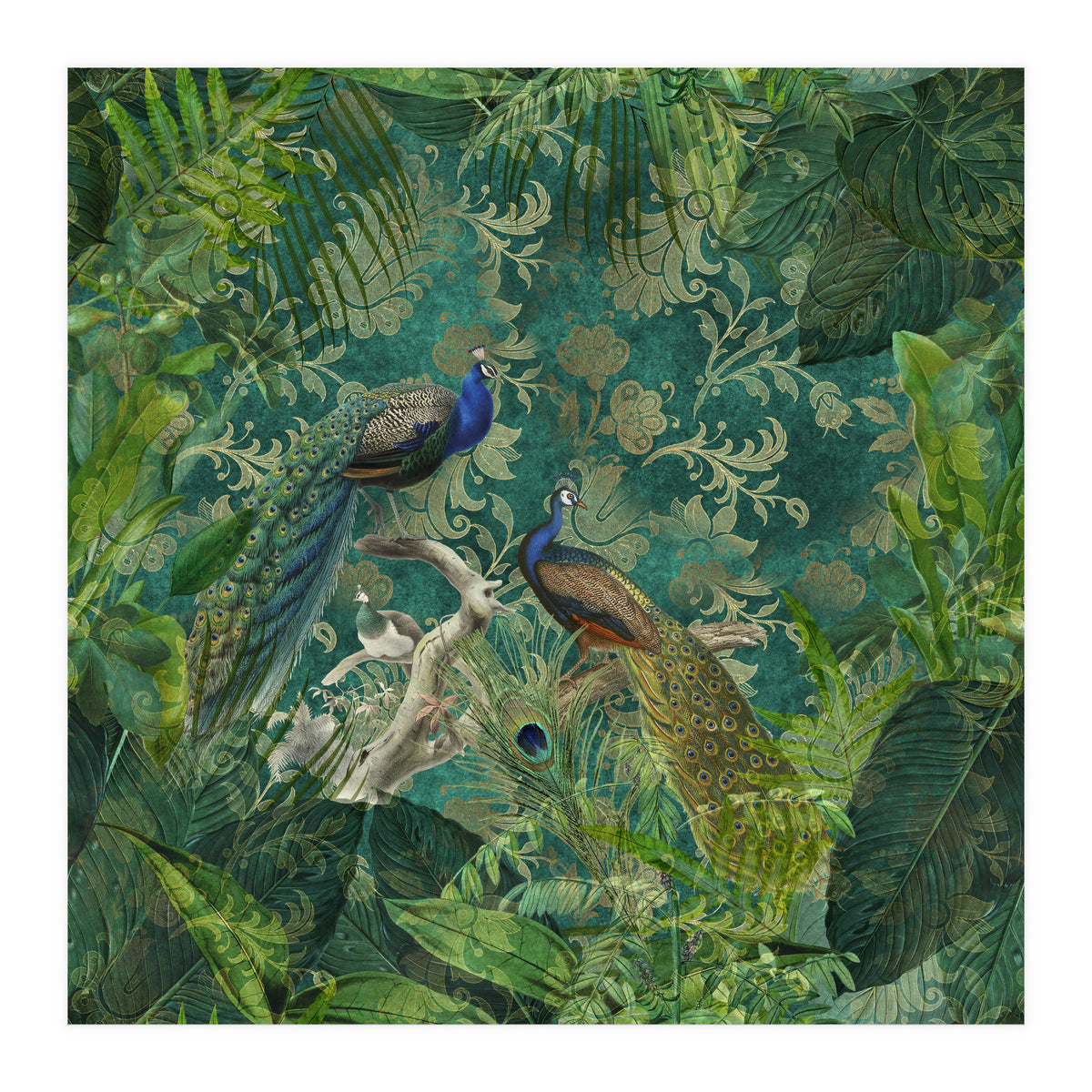 Mystic Peacocks (Print Only)