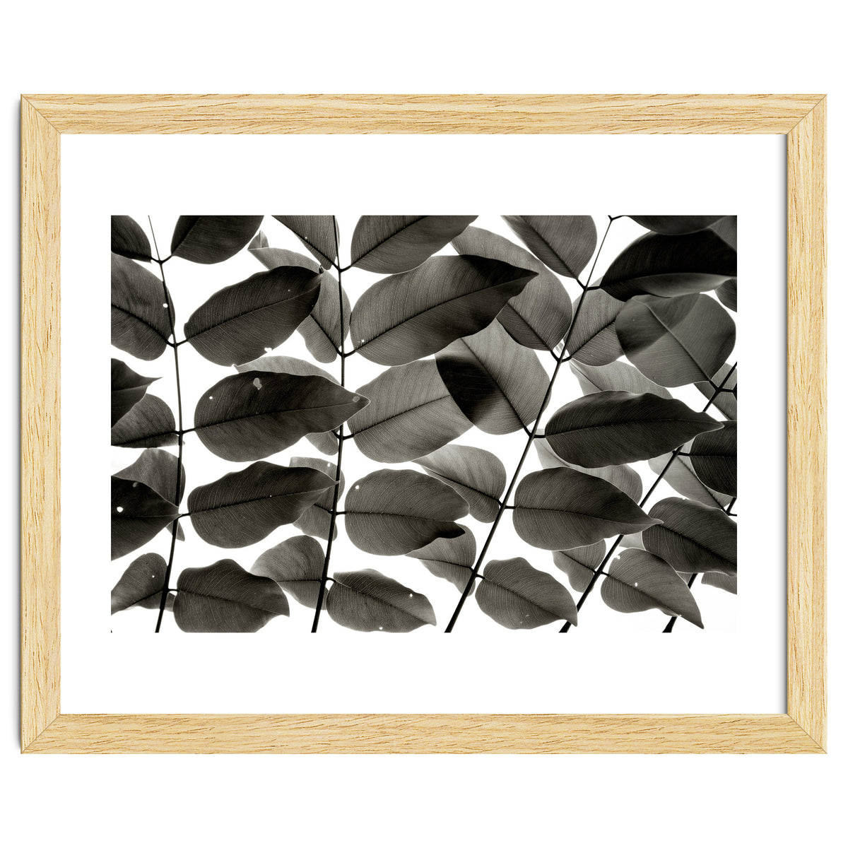 Branches and Leaves I