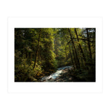 Cascade River (Print Only) thumbnail