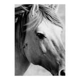 27 (Print Only) thumbnail