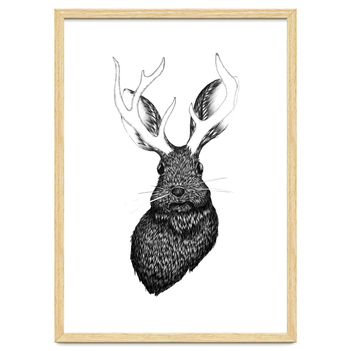 Jackalope